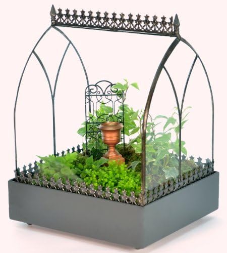 H Potter Glass Terrarium Wardian Case Succulent Planter Container for Plants Flowers Orchids Foliage and More WAR117