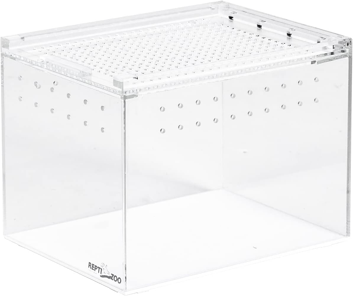 REPTI ZOO Magnetic Acrylic Case, 8x6x6 Inch Tall Long Enclosure Reptile Breeding Box Terrarium Cage for Tarantula Scorpion Sling Isopods Lizards Roach Invertebrates Insect Mantis