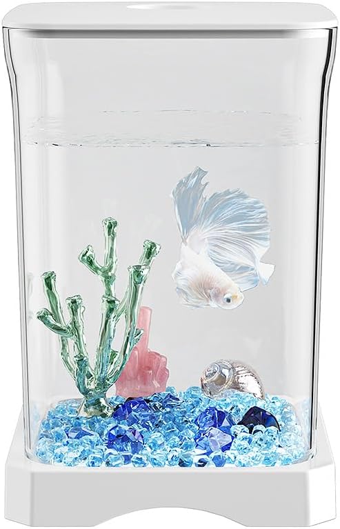 Betta Fish Aquarium Tank with Natural Seashells and Stones, Glass Container, Blue Fish Display