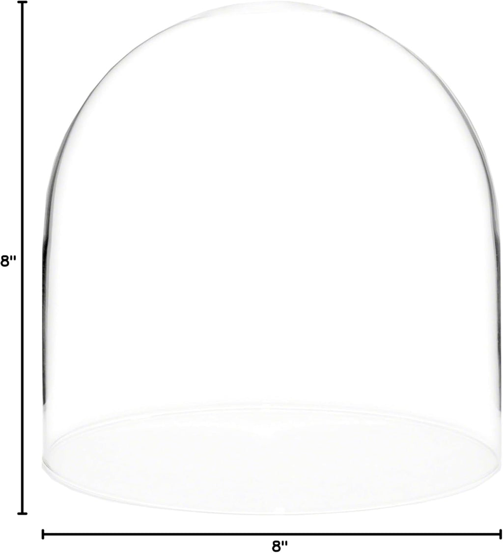 Plymor 8" x 8" Glass Display Dome Cloche (no Base)