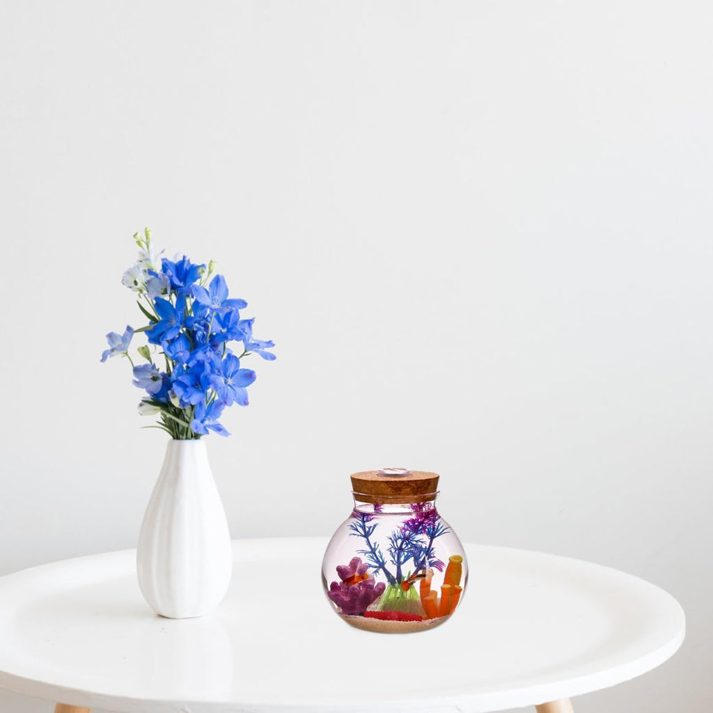 NUOBESTY Round Glass Jars with Cork Lid, Small Glass Cork Bottles with Led Light, Plant Terrarium Display Bottles for Diy, Kitchen Storage Candy Jar for Tea Biscuits Cereals Flour Beans