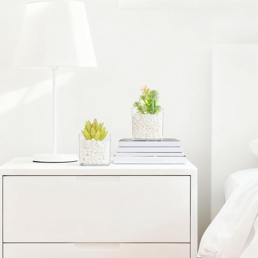 2-Pack Mini Transparent Acrylic Artificial Succulent Potted Small Fake Plants for Living Room Bathroom Decor Office Book Shelf Window Sill Decoration Accessories
