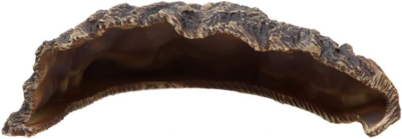 Plecoceramics Aquarium Cave - Ceramic Betta Fish Tank Decor - Natural Aquarium Decor - Large Reptile Hide - Fish cave Hideout - Snake Hide - Cave for Cichlids and plecos (Cave)