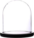 dome glass dome with base glass cloche Glass Cloche Bell Jar Display Dome with Black Wooden Base 6" x 7" (6 * 7) (Dia 6" H 7")