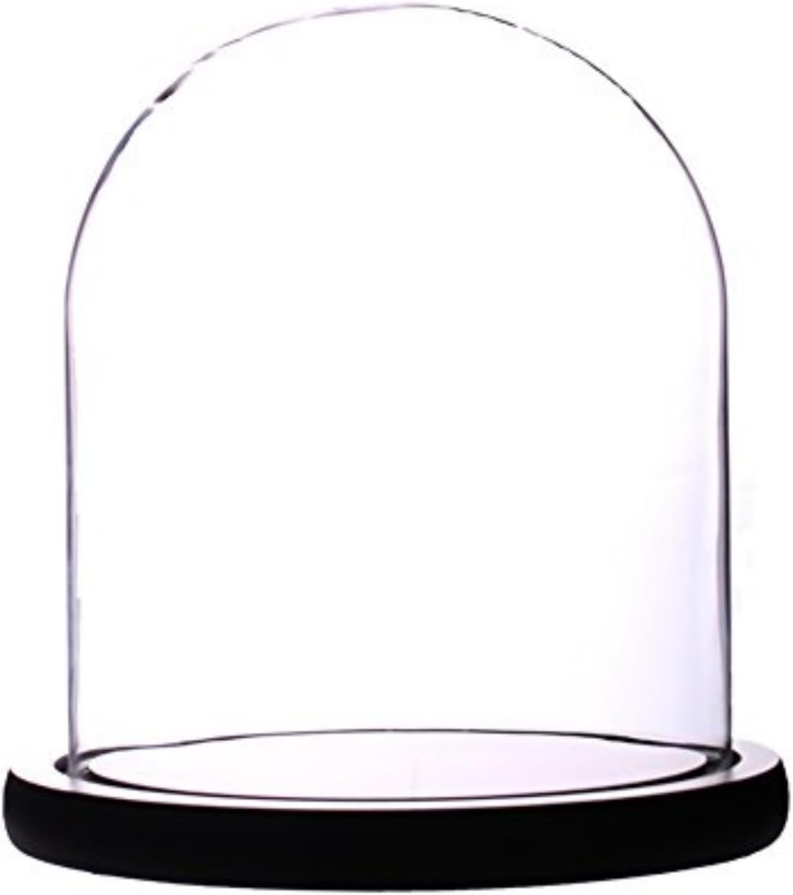 dome glass dome with base glass cloche Glass Cloche Bell Jar Display Dome with Black Wooden Base 6" x 7" (6 * 7) (Dia 6" H 7")