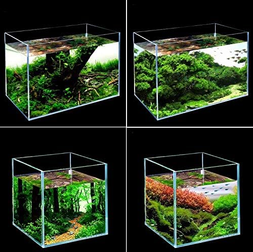 Rimless Low Iron 2.1 Gallon Glass Aquarium Tank 7.8" L × 7.8" W × 7.8" H / 20cm x 20cm x 20cm, 5mm Thickness Standard Jointed