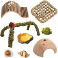 Hermit Crab Accessories – 8PCS Natural Hermit Crab Shells, Coconut Hideout, Climbing Toys Hammock, Moss, Plants & Water Dish, Habitat Decor for Hermit Crabs or Reptile Tank (C-Group-Water Dish).
