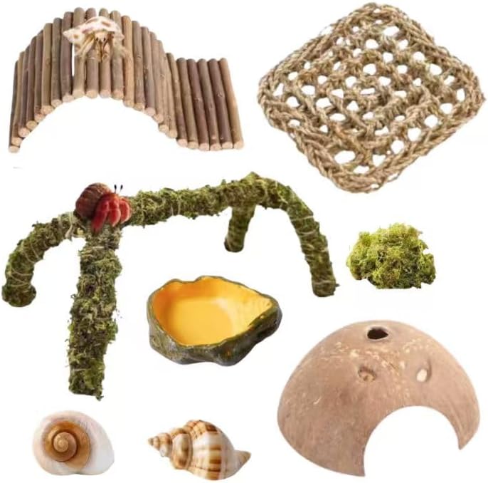 Hermit Crab Accessories – 8PCS Natural Hermit Crab Shells, Coconut Hideout, Climbing Toys Hammock, Moss, Plants & Water Dish, Habitat Decor for Hermit Crabs or Reptile Tank (C-Group-Water Dish).