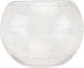 Transparent Glass Hydroponics Vase Smooth Rounded Plant Holder Terrarium Bowl for Home Office Hotel Decorative Floral Planter