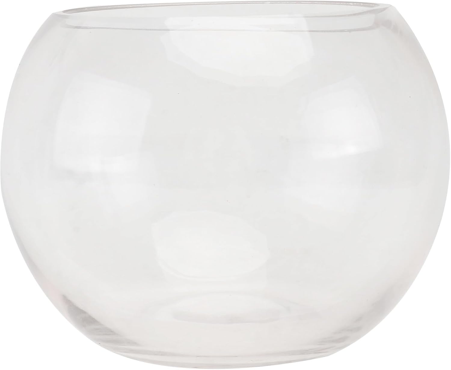 Transparent Glass Hydroponics Vase Smooth Rounded Plant Holder Terrarium Bowl for Home Office Hotel Decorative Floral Planter