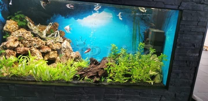 Aquarium Background Poster Under Water Cave Sunlight Fish Tank Backdrop Decorations PVC Fish Tank Background (48" x 16"/ 122 x 41cm)
