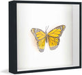 25x25 Shadow Box Frame Black | 1 Inch Deep Solid Wood Shadowbox Display Frame | UV Resistant Acrylic Plexiglass, Acid Free Backing, and Hanging Hardware | Dugan Picture Frame Style