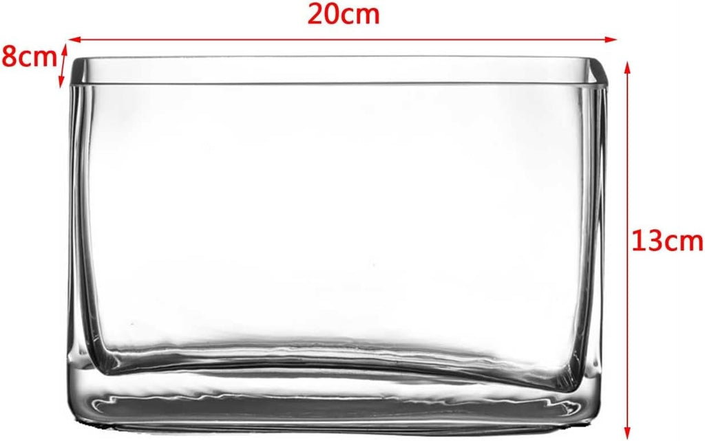 Fish Tank, Glass Aquarium, Living Room, Small Rectangular mini Aquarium