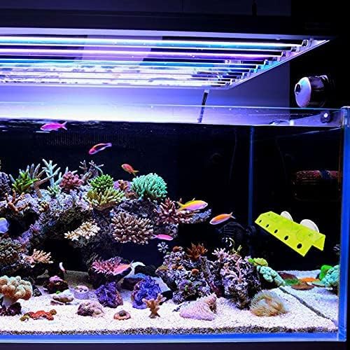 kcrygogo Fluorescent Green Coral Frag Holder Acrylic Coral Rack with Powerful Double Suction Cup Suitable for Household Fish Tanks (10 Plug Holes)