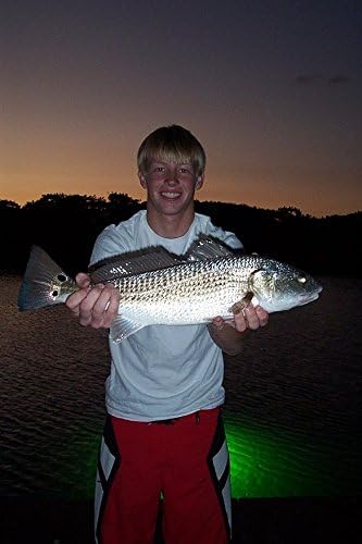 Green Underwater Dock Light - Brightest HID Submersible Light for Enhanced Fishing, Dock Illumination, Nighttime Safety, Easy Installation - Easy Installation
