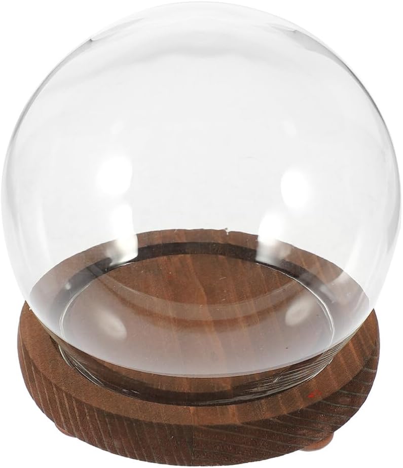 Clear Glass Cloche Dome Bell Jar with Wood Base 10cm DIY Snow Globe Kit Craft Keepsake Display Case Terrarium for Preserved Flower Plant Succulent