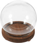 Clear Glass Cloche Dome Bell Jar with Wood Base 10cm DIY Snow Globe Kit Craft Keepsake Display Case Terrarium for Preserved Flower Plant Succulent