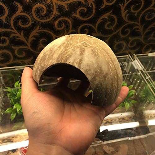 Hypeety Natural Coconut Reptile Habitat Hideout for Reptile, Lizard, Spider, Snake, Aquarium, Fish Hide Cave Hermit Crabs, Hamsters Natural Coco Hut Organic Non-Toxic Aquarium Decoration