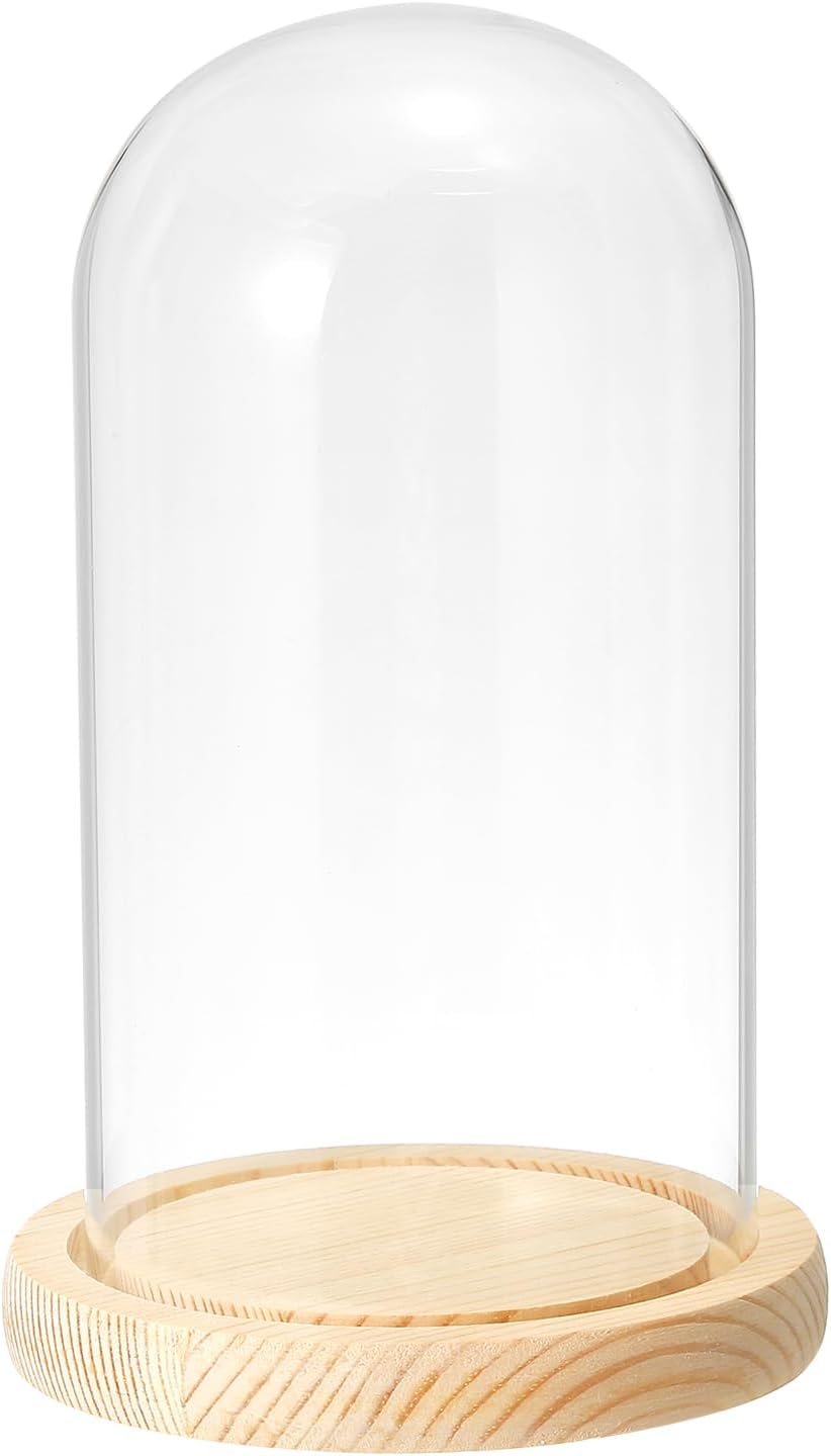 PATIKIL 7.5"x3.9" Clear Cloche Glass Dome, Glass Bell Jar Display Case Tabletop Centerpiece with Wooden Base for Plants Home Decor