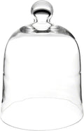 Plymor 10" x 13" Bell Jar Glass Display Dome Cloche (Interior Size 9.5" x 10.5")