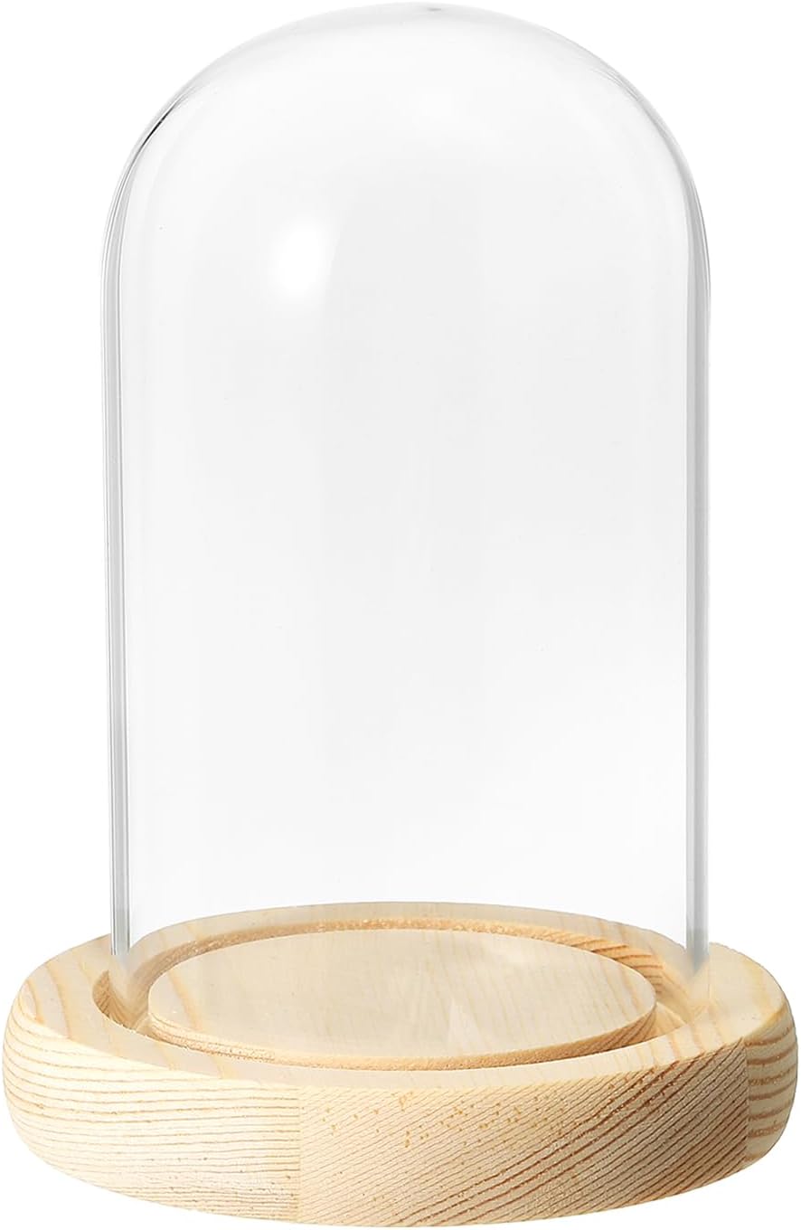 PATIKIL 4.7"x2.8" Clear Cloche Glass Dome, Glass Bell Jar Display Case Tabletop Centerpiece with Wooden Base for Plants Home Decor