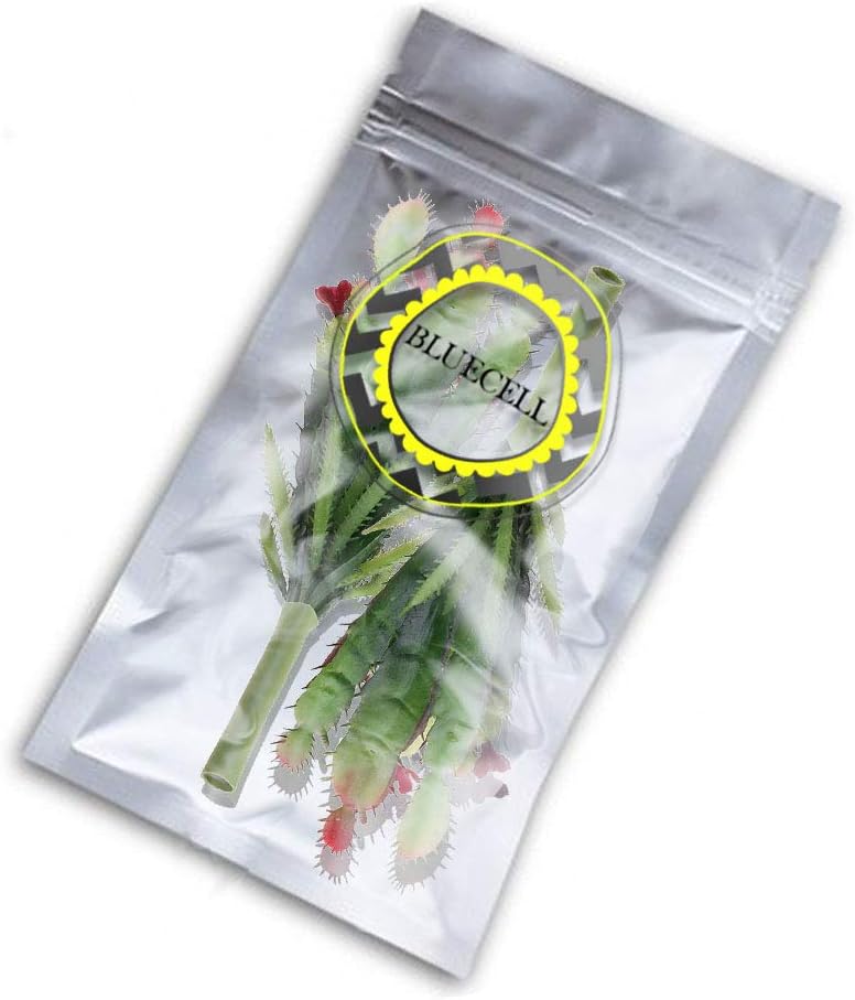 Bluecell 2pcs Real Looking Artificial Cactus Artificial Cacti Plant DIY Material for Home Decoration Flower Arrangement
