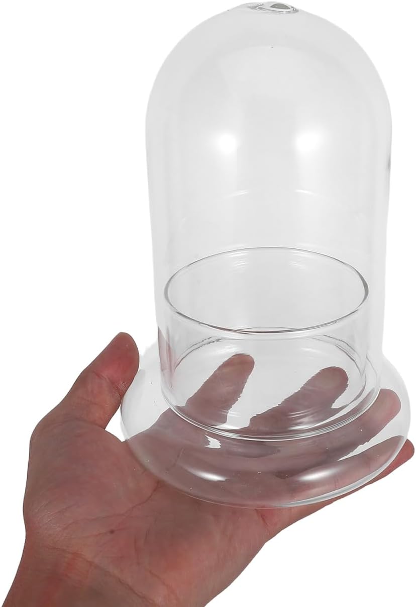 Yardwe 2 Pcs Bell Glass Bottle Cloche Dome Glass Storage Container Dome Cloche with