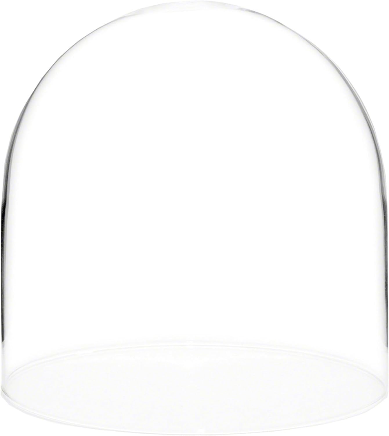 Plymor 8" x 8" Glass Display Dome Cloche (no Base)