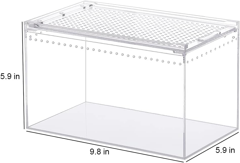 NANEEZOO Magnetic Acrylic Enclosure 10x6x6 Inch Tall Long Case Reptile Habitat Terrarium cage for Terrestrial Arboreal Tarantula Scorpion Sling Isopods Lizards Invertebrates Insect Mantis