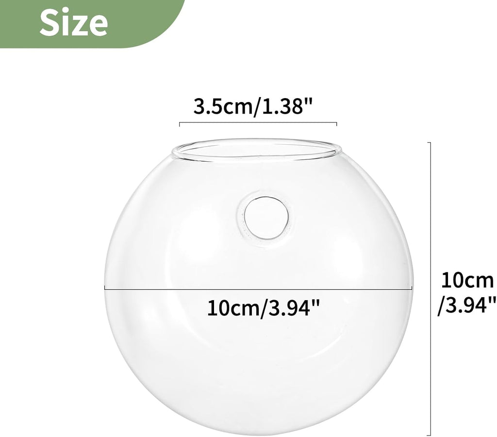 NUPTIO Wall Hanging Planters Terrarium: 4Pcs Clear Glass Wall-Mounted Vases for Indoor Office Garden Living Room - Oblate Plant Pots Hydroponic Containers Propagation Stations for Flowers