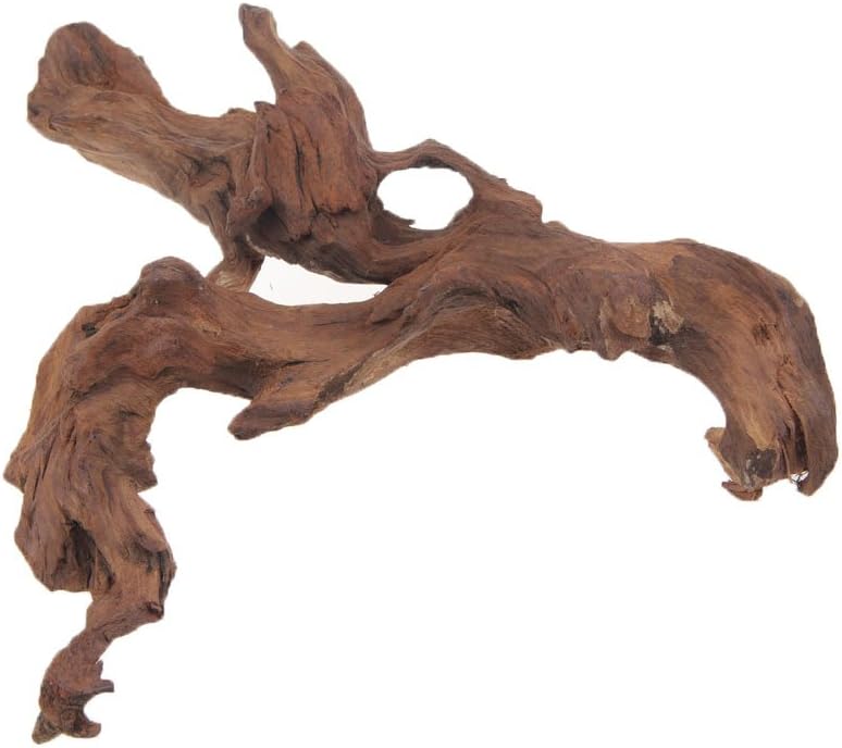 emours Aquarium Driftwood Fish Tank Decoration (XLarge(11 to 14 inches in Length))