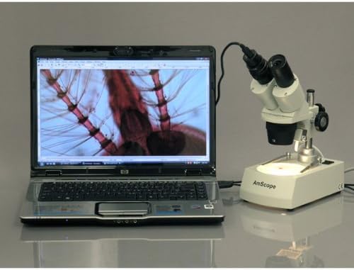 AmScope SE306R-PZ Forward Binocular Stereo Microscope, WF10x and WF20x Eyepieces, 10X-80X Magnification, 2X and 4X Objectives, Upper and Lower Halogen Light Source, Pillar Stand, 120V , White