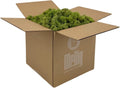Preserved Reindeer Moss - Moss for Crafts, Home Decor, Art, Design & DIY Projects - Non-Toxic - USA Made (Spring Green, Standard Box)