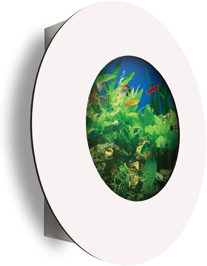 Aussie Aquariums AA-Porthole-MWHITE 2.0 Wall Mounted Aquarium, Matte White
