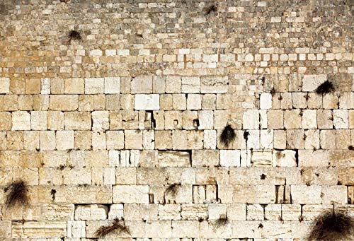 Jerusalem Wailing Wall & Western Wall Old City Backdrop for Theme Portrait Photography - 10x6.5ft Banner