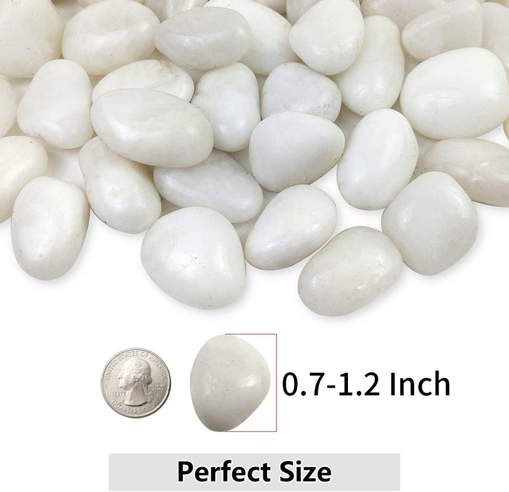 White Pebbles for Indoor Plants, Natural Polished River Rocks, Small Decorative Stones for Planters Vase Fish Tank Aquariums Landscaping Garden, 5lbs