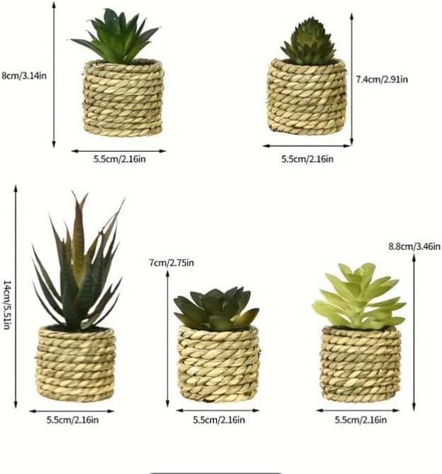 Faux Succulent Plants in Pot, Realistic Resin Clay Mini Succulent Arrangement, Office Desk Decor Stress Relief Prop, Photography Background for Home Cafe (Set of 5)