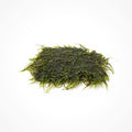 SubstrateSource Peacock Moss on Mesh Live Aquarium Plant - Freshwater Fish Tank Decorations for Natural Aquatic Decor