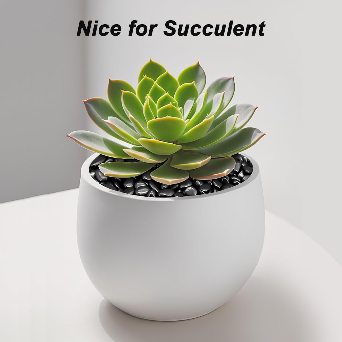 Landscaping Pebbles River Rocks Decorative Ornamental Pebbles Garden Landscaping Stones Gravel Filler for Home Decoration Flower Bed Fish Tank Plants Vases Succulents (1, Black, 1 Pound)