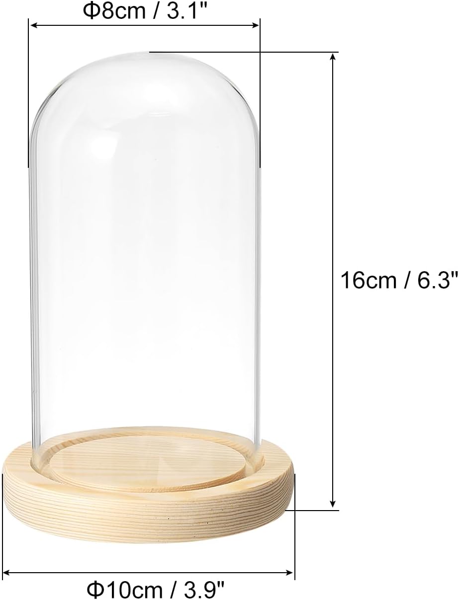 PATIKIL 5.9"x3.1" Clear Cloche Glass Dome, Glass Bell Jar Display Case Tabletop Centerpiece with Wooden Base for Plants Home Decor