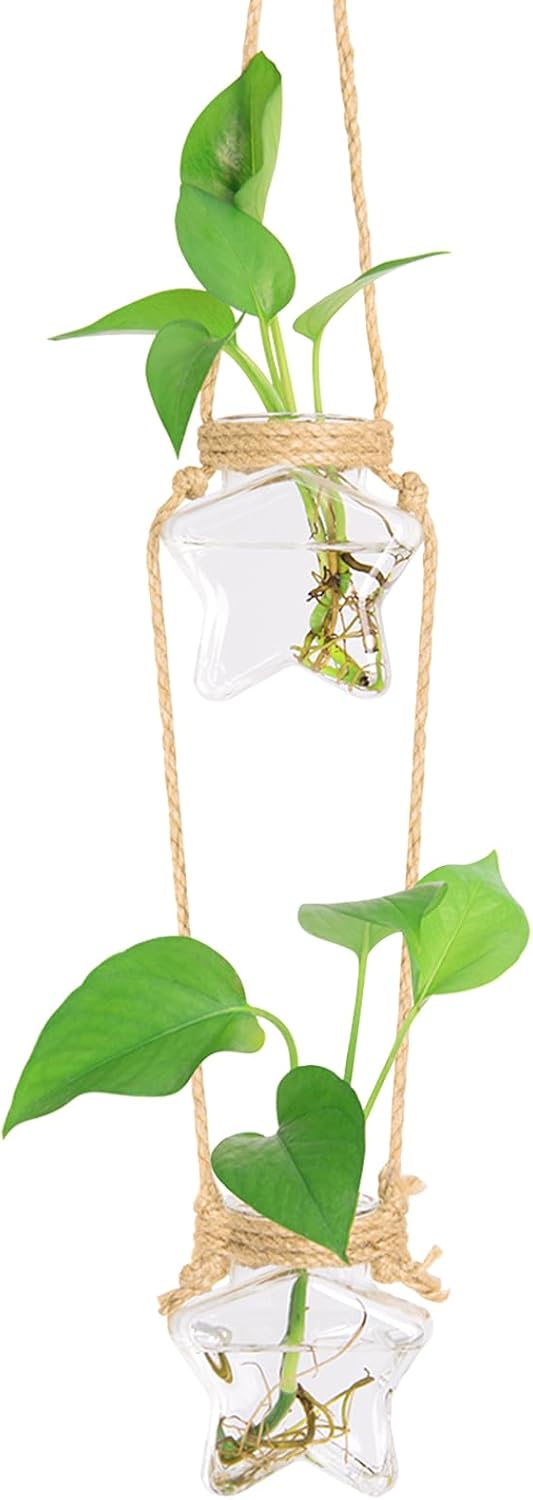 XXXFLOWER Wall Hanging Propagation Station，2 Tired Star Shaped Glass Flower Vase for Hydroponic Planter Terrarium for Plant Cutting Home Office Living Room Garden Decor
