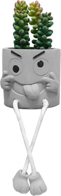 Zerzsy Artificialplant Succulents in Cement Pots with Hanging Leg, Kitchen Shelf Decor, Bathroom Shelf Decoraion, Home Sheves Decoration Accents, Office Wall Decor - Set of 1