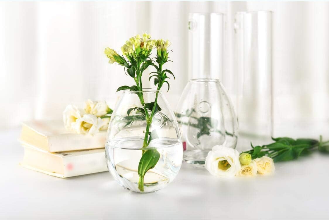 Kingbuy Wall Hanging Propagation Station Glass Plant Terrarium Container Egg Shape for Propagating Hydroponic Plants Home Office Garden Decor Wedding, 4 Pack