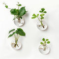 4 Pack Hanging Wall Vases, Glass Hainging Planter Propagation Station Terrarium, 4.7" Globe Wall Planters for Indoor Plants,Home Decor