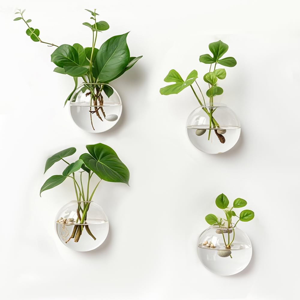 4 Pack Hanging Wall Vases, Glass Hainging Planter Propagation Station Terrarium, 4.7" Globe Wall Planters for Indoor Plants,Home Decor