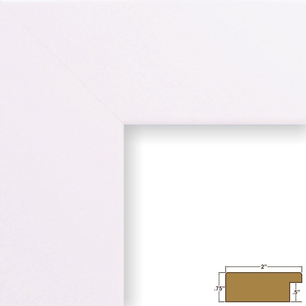 Craig Frames 74267 8 by 10-Inch Picture Frame, Smooth Wrap Finish, 2-Inch Wide, White Satin