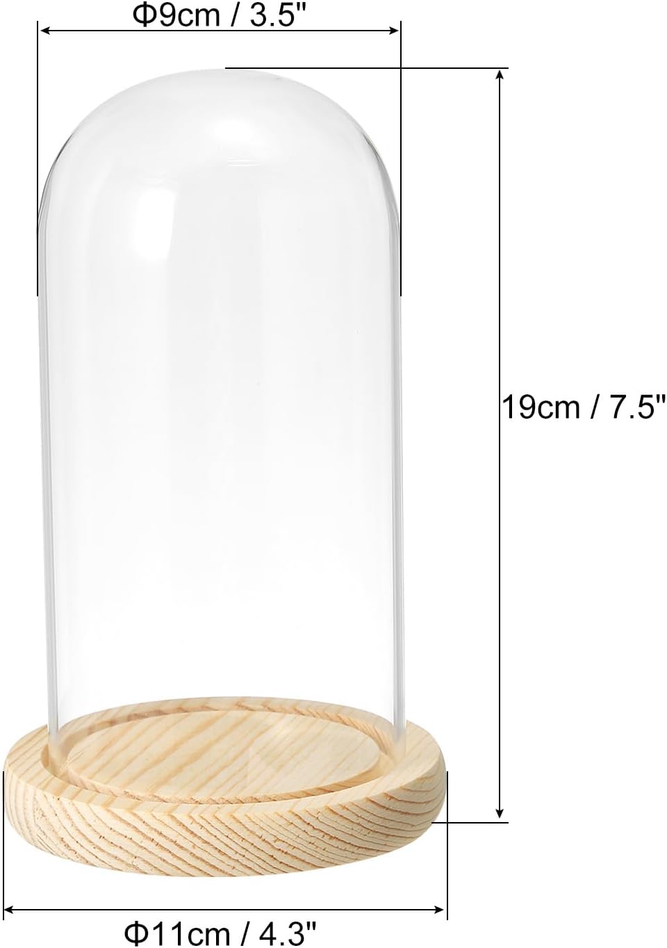 PATIKIL 7.1"x3.5" Clear Cloche Glass Dome, Glass Bell Jar Display Case Tabletop Centerpiece with Wooden Base for Plants Home Decor