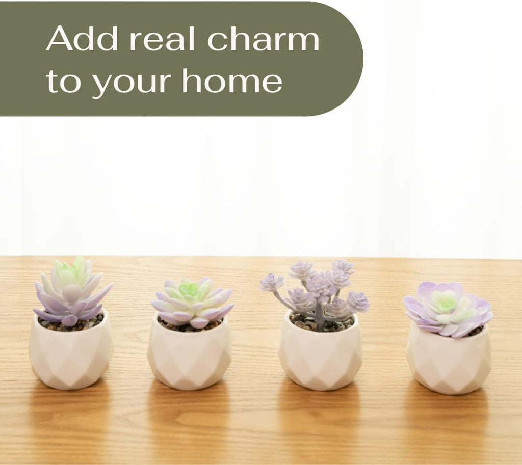 VIVERIE Artificial Purple Succulents Plant in White Ceramic Pots, Set of 4 - Mini Succulent Fake Room Decoration Aesthetics, Office Supplies/Room Decor/Office Halloween&Christmas Gifts