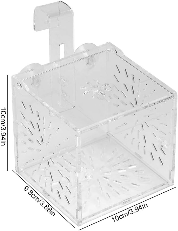GLOGLOW Aquarium Breeding Isolation Box, Transparent Acrylic Fish Isolation Box Fish Separator with Suction Cups for Small Baby Fishes Shrimp Clownfish Guppy(10CM*10CM*10CM)