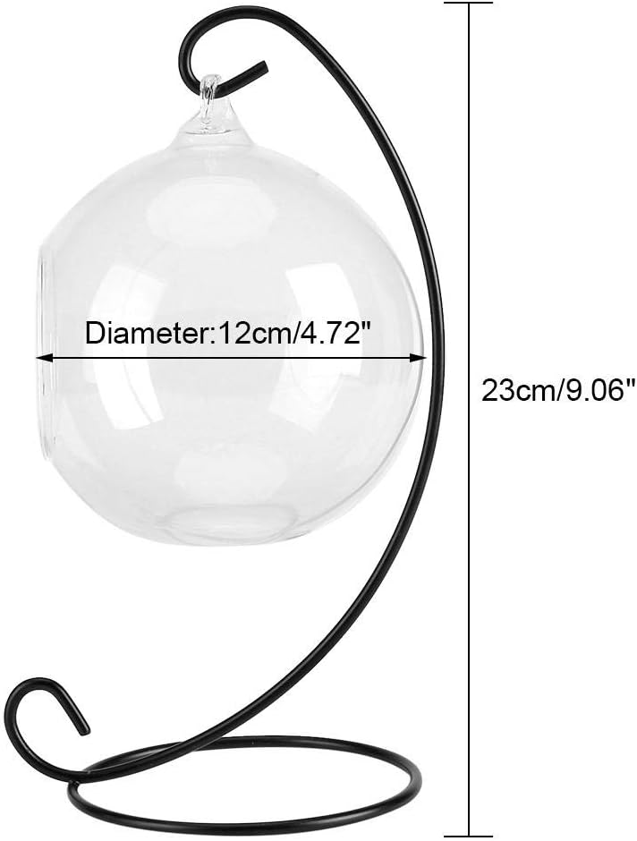 Large Clear Glass Terrarium Vase Hanging for Air Plants with Black Metal Stand Decorative Indoor Outdoor Easy to Hang Rustic Farmhouse Home Office Decor